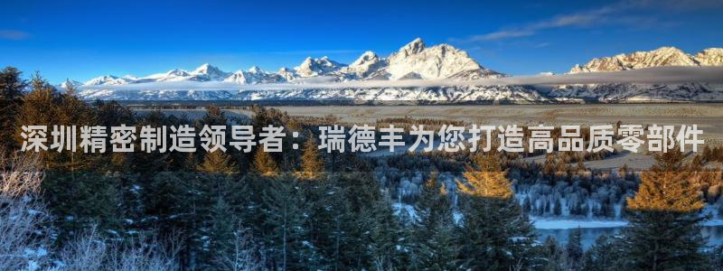 彩神的邀请码是多少：深圳精密制造领导者：瑞德丰为您打造高品质零部件