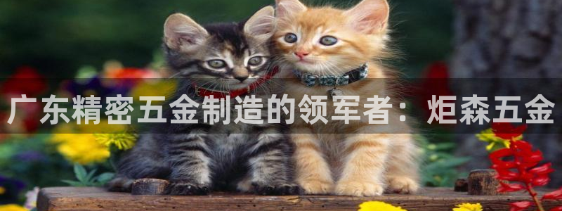 v彩神88iii：广东精密五金制造的领军者：炬森五金