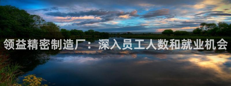 彩神vip购彩大厅：领益精密制造厂：深入员工人数和就业机会