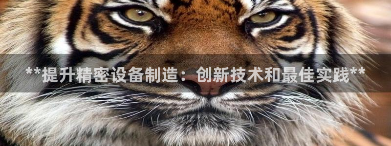 彩神V集团有限公司