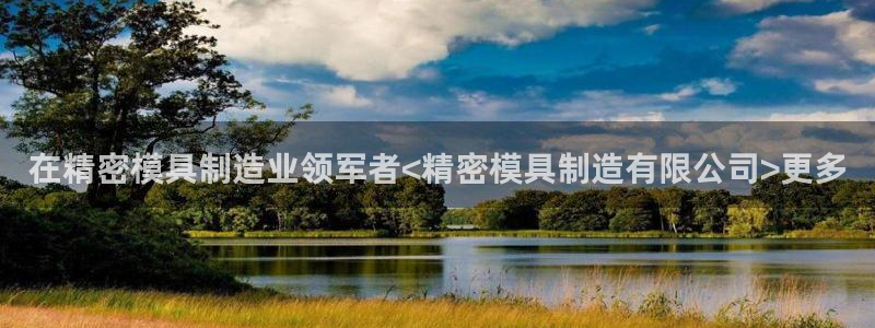 在彩神网输了六万多怎么拿回来：在精密模具制造业领军者<精密模具制造有限公司>更多