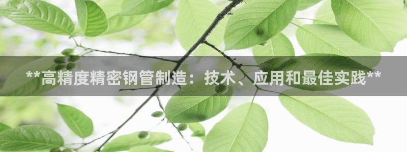 彩神v彩搜狗：**高精度精密钢管制造：技术、应用和最佳实践**