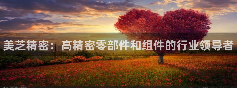 彩神V购彩大厅