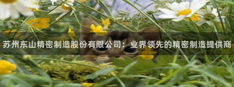 彩神网能赚钱是怎么回事