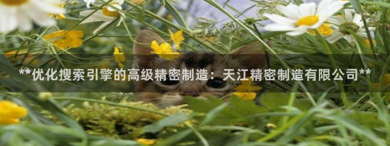 彩神争霸老平台