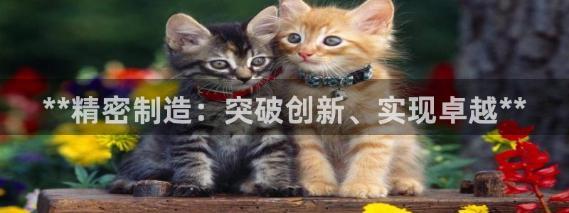 彩神是什么平台的游戏