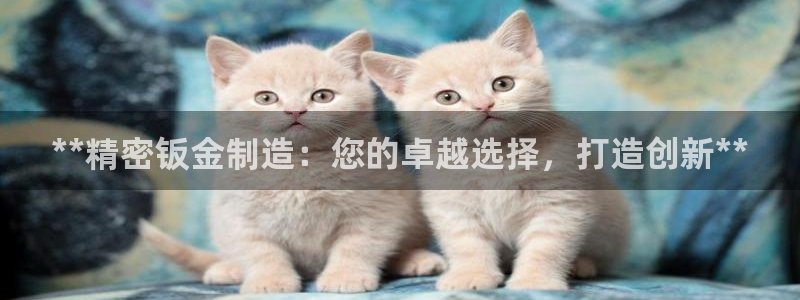 彩神v8平台正规吗知乎：**精密钣金制造：您的卓越选择，打造创新**