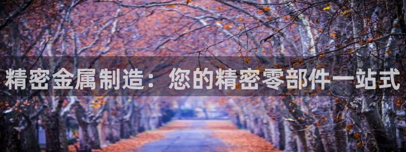 彩神8彩平台官网