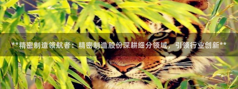 彩神大发cp：**精密制造领航者：精密制造股份深耕细分领域，引领行业创新**
