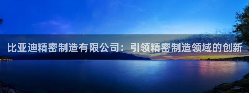 彩神购彩购彩大厅入口v：比亚迪精密制造有限公司：引领精密制造领域的创新