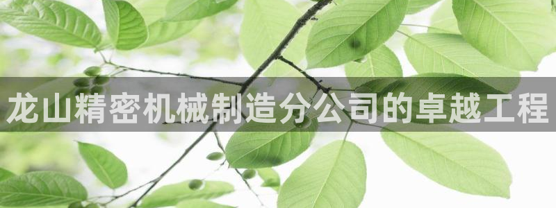 彩神争霸官方下载