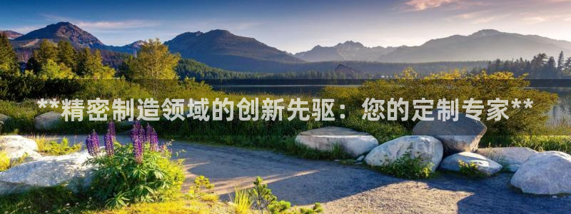 彩神viii下载安卓：**精密制造领域的创新先驱：您的定制专家**
