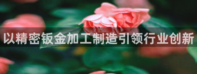 彩神vii手游下载：以精密钣金加工制造引领行业创新
