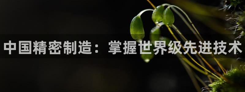 彩神xapp官方网站