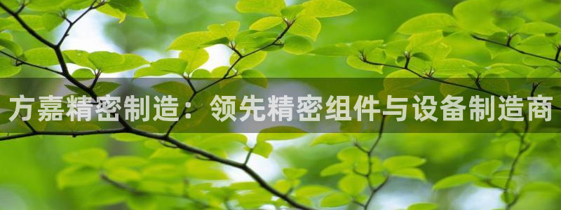 彩神赢的钱是哪里来的啊：方嘉精密制造：领先精密组件与设备制造商