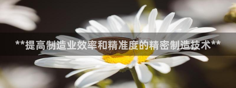 彩神怎么样可以提现：**提高制造业效率和精准度的精密制造技术**