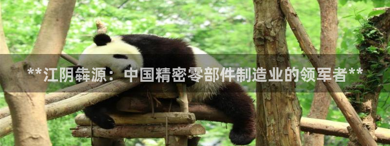 彩神V购彩大厅：**江阴犇源：中国精密零部件制造业的领军者**