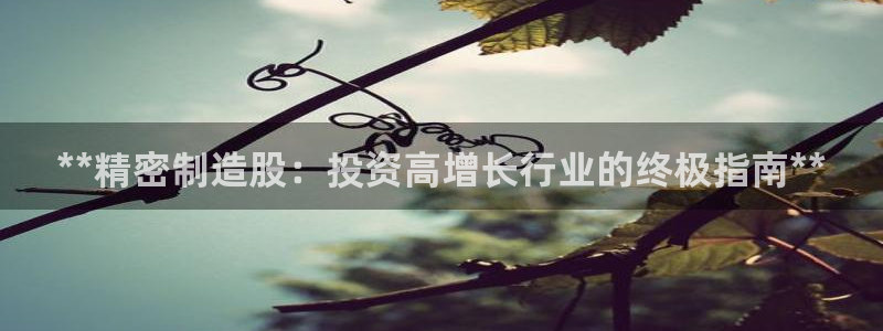 彩神ⅴll是什么样平台