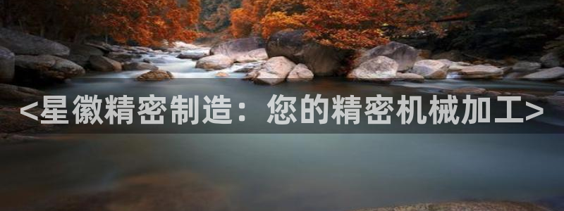 彩神vi官网版