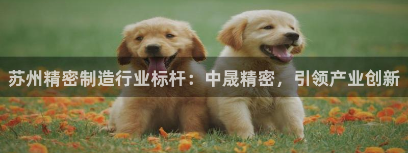 彩神广告有限公司