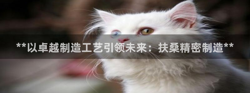 彩神网能赚钱是怎么回事