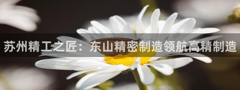 彩神Vii购彩-购彩大厅