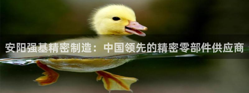 彩神v8是一个什么平台游戏