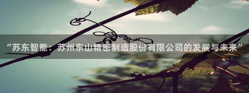 所有彩神购买首页都一样吗