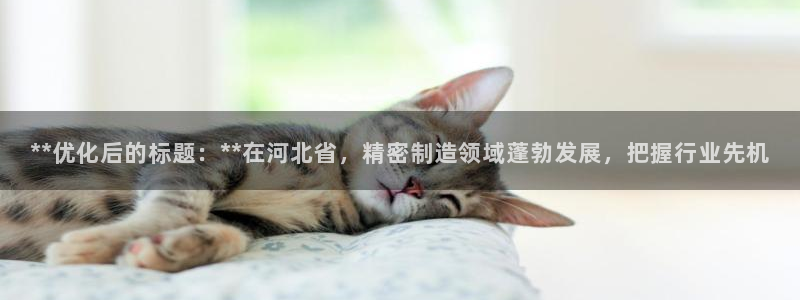 彩神v争霸有限公司