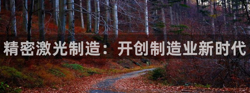 彩神8官网版：精密激光制造：开创制造业新时代