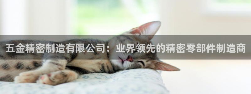 彩神vll首页
