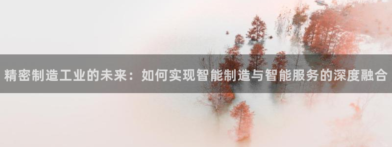 彩神iv真的能赚钱吗：精密制造工业的未来：如何实现智能制造与智能服务的深度融合