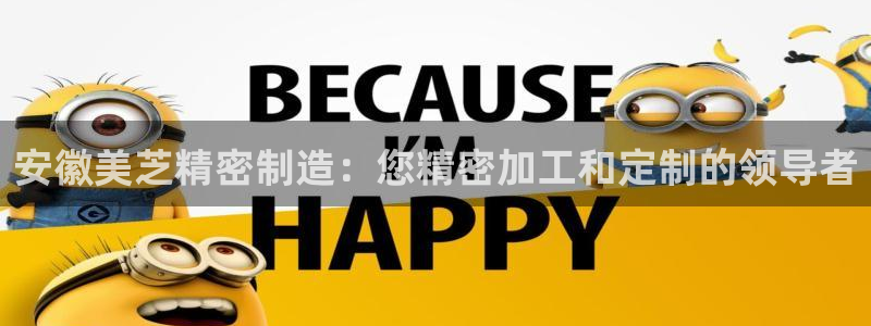 彩神app赚钱是真是假：安徽美芝精密制造：您精密加工和定制的领导者