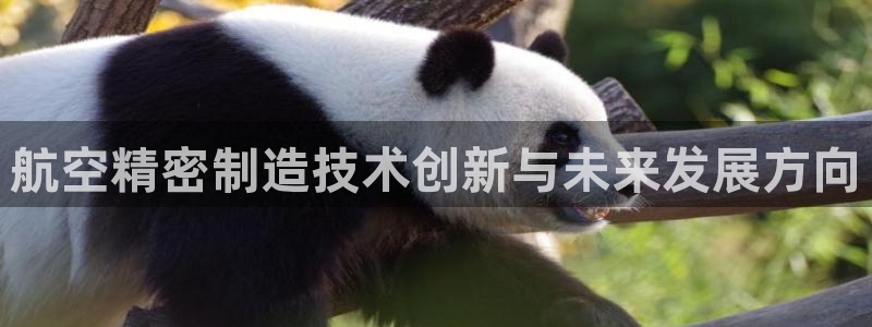 彩神vⅲ下载安装
