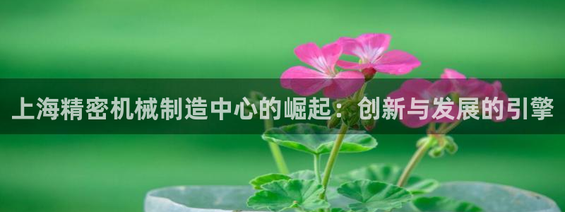 彩神ix官网是哪个公司的