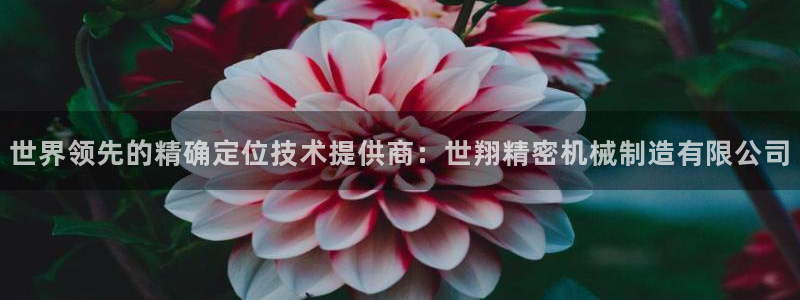 彩神V集团有限公司