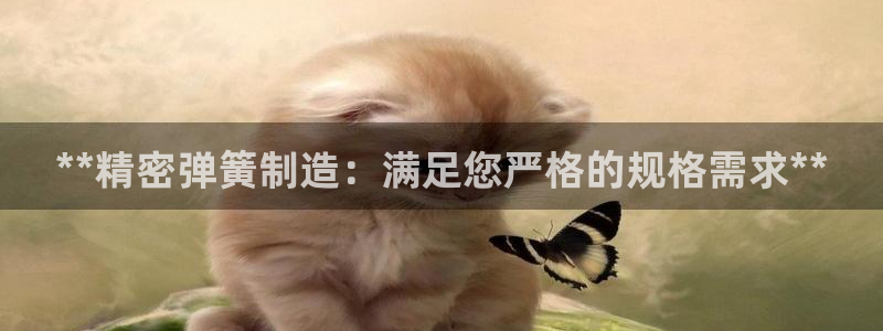 彩神velcome购彩大厅