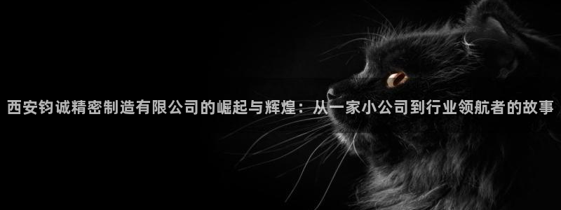 彩神iv是正规平台吗?