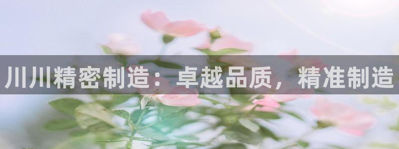 彩神是正规平台吗知乎：川川精密制造：卓越品质，精准制造