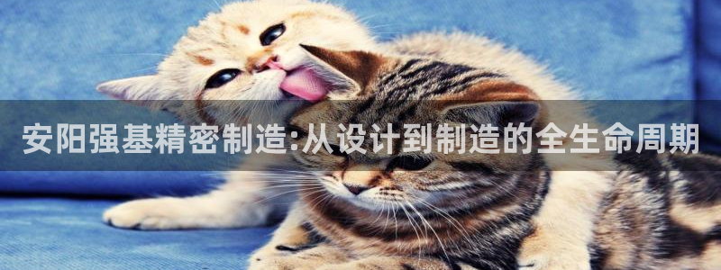 彩神vl购彩大厅