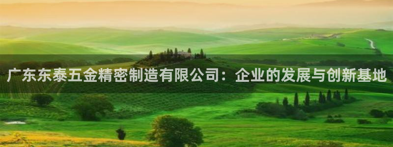 彩神数码科技有限公司：广东东泰五金精密制造有限公司：企业的发展与创新基地