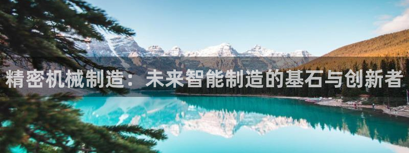 彩神数码科技有限公司