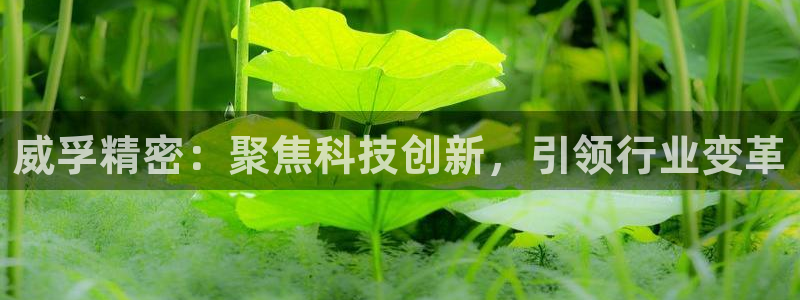 彩神8是正规平台吗：威孚精密：聚焦科技创新，引领行业变革