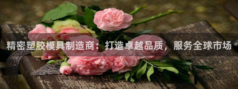 彩神平台：精密塑胶模具制造商：打造卓越品质，服务全球市场
