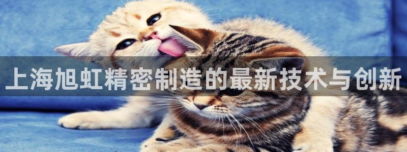 彩神趣购彩用户注册：上海旭虹精密制造的最新技术与创新