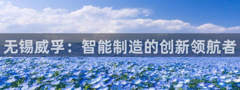彩神8是正规平台吗