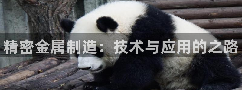 下载彩神争霸谁与我争锋：精密金属制造：技术与应用的之路