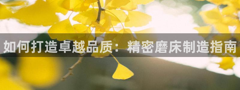彩神VII官方版：如何打造卓越品质：精密磨床制造指南