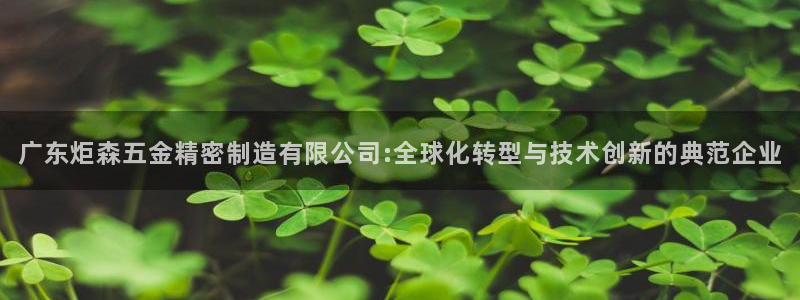 彩神v8下载：广东炬森五金精密制造有限公司:全球化转型与技术创新的典范企业