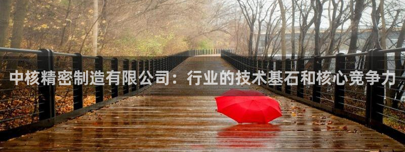 彩神赢了钱登录不上去：中核精密制造有限公司：行业的技术基石和核心竞争力
